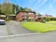 Thumbnail Detached house for sale in Shelling Hill, Lisburn