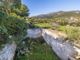 Thumbnail Land for sale in Spain, Mallorca, Selva