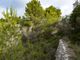 Thumbnail Land for sale in Spain, Mallorca, Puigpunyent, Galilea