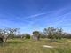 Thumbnail Property for sale in Castellana Grotte, Puglia, 70013, Italy