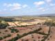 Thumbnail Detached house for sale in Randa, Algaida, Mallorca