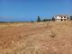 Thumbnail Land for sale in Ozankoy