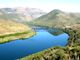 Thumbnail Land for sale in 350.000m2 Of Rustic Land With Olive Groves, Portugal