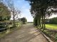 Thumbnail Detached bungalow for sale in Back Lane, North Cowton, Northallerton