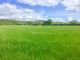 Thumbnail Land for sale in Ham Road, Ashleworth, Gloucestershire