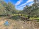 Thumbnail Land for sale in Casarabonela, Malaga, Spain