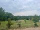 Thumbnail Property for sale in Near Eymet, Dordogne, Nouvelle-Aquitaine