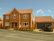 Thumbnail Detached house for sale in Batts Meadow, North Petherton