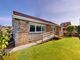 Thumbnail Detached bungalow for sale in Beech Way, Aston-Cum-Aughton, Sheffield