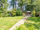 Thumbnail Detached house for sale in Pockthorpe Lane, Thompson, Thetford, Norfolk