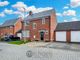 Thumbnail Detached house for sale in Henry Everett Grove, Colchester, Colchester