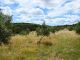 Thumbnail Ch&acirc;teau for sale in Uzes, Gard Provencal (Uzes, Nimes), Occitanie