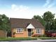 Thumbnail Bungalow for sale in "The Amaryllis" at Hyacinth Drive, Dunmow