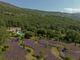 Thumbnail Villa for sale in St Vallier De Thiey, Mougins, Valbonne, Grasse Area, French Riviera
