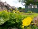 Thumbnail Cottage for sale in Sands Road, Harriseahead, Stoke-On-Trent