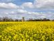 Thumbnail Land for sale in Mattishall Lane, North Tuddenham, Dereham, Norfolk