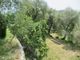 Thumbnail Country house for sale in Frazione Poggio Bottaro, Testico, Savona, Liguria, Italy