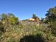 Thumbnail Property for sale in Amendoais, Algoz E Tunes, Silves