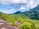 Thumbnail Land for sale in Saint Louis, Saint Louis, Seychelles