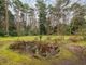 Thumbnail Detached house for sale in Headley Road, Grayshott, Hindhead