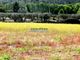 Thumbnail Farm for sale in Farm 38.000m2, With 400 Olive Trees, Stone House, Lajeosa Do Mondego, Celorico Da Beira, Guarda, Central Portugal