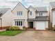 Thumbnail Detached house for sale in Pilton Row, Exeter