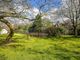 Thumbnail Country house for sale in Old Salisbury Lane, Romsey, Hampshire