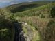 Thumbnail Property for sale in Upper Corris, Machynlleth