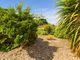 Thumbnail Detached bungalow for sale in Russet Avenue, Carlton, Nottingham