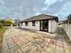 Thumbnail Bungalow to rent in Primrose Close, Roche, St. Austell