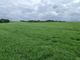 Thumbnail Land for sale in Silverhill, Etchingham