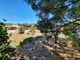 Thumbnail Detached house for sale in Bedarieux, Languedoc-Roussillon, 34600, France