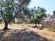 Thumbnail Country house for sale in Contrada Correo, Carovigno, Brindisi, Puglia, Italy