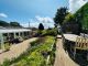 Thumbnail Bungalow for sale in Silverdale, Exmouth