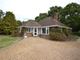 Thumbnail Detached bungalow to rent in Willowden, Clay Lane, Fishbourne, Chichester, West Sussex