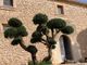 Thumbnail Detached house for sale in Randa, Algaida, Mallorca