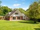 Thumbnail Detached house for sale in The Thicket, Maidenhead, Berkshire
