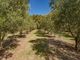 Thumbnail Farm for sale in Green Valley Road, Franschhoek Rural, Franschhoek, Western Cape, South Africa