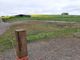 Thumbnail Land for sale in Chapelton Smiddy, Arbroath