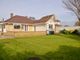 Thumbnail Detached bungalow to rent in Saltlands Avenue, Bridgwater