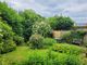 Thumbnail Semi-detached house for sale in West Street, Broadwindsor, Beaminster