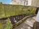 Thumbnail Semi-detached house for sale in Gew Terrace, Redruth