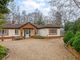 Thumbnail Detached bungalow for sale in Prince Albert Drive, Ascot
