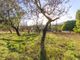 Thumbnail Country house for sale in Country House, Campanet, Mallorca, 07310