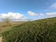 Thumbnail Detached bungalow for sale in Kirkton, Dumfries