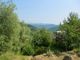 Thumbnail Country house for sale in Frazione Poggio Bottaro, Testico, Savona, Liguria, Italy