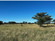 Thumbnail Farm for sale in Gobabis, Gobabis, Namibia