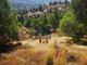 Thumbnail Land for sale in Ayios Theodoros Soleas 2823, Cyprus