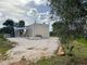 Thumbnail Farmhouse for sale in Carovigno, Puglia, 72012, Italy