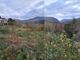 Thumbnail Land for sale in Coetmor New Road, Bethesda, Bangor, Gwynedd